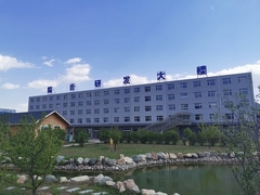 Risever endüstrisinin tanıtımı